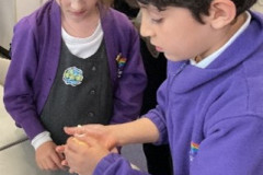 Science-Week-2025-Year-3-1