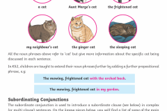 Year-6-Parents-Grammar-Punctuation-Spelling-Guide_Page_21