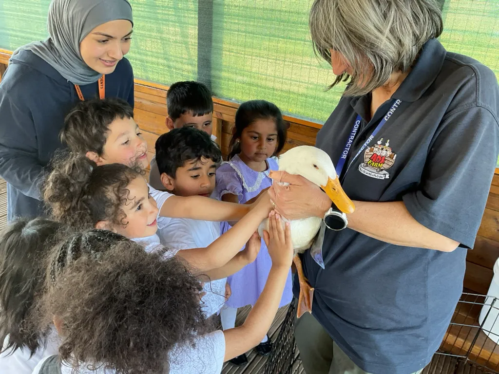 A group of young children excitedly touch a white duck held by a smiling adult woman, whilst another woman watches nearby. They are outdoors near a wooden fence and green netting.